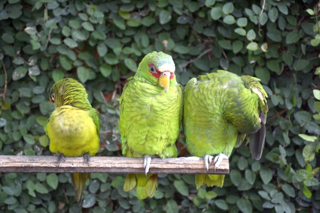 the best time to visit Costa Rica.