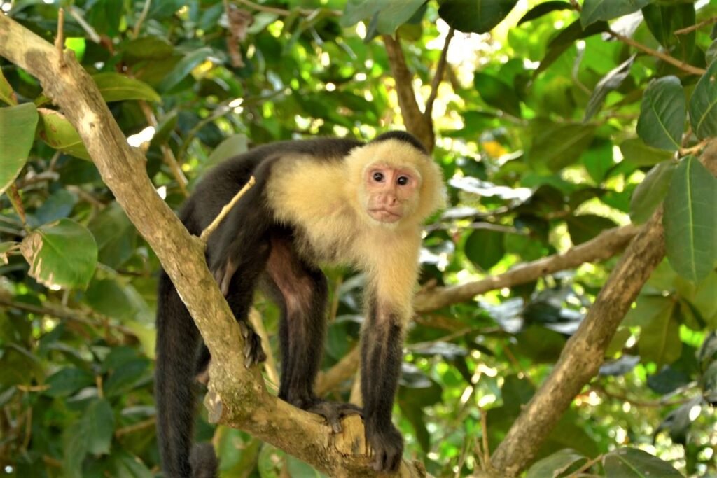 the best time to visit Costa Rica.