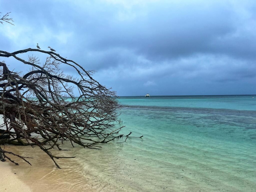 Amedee Island - Best things to do in New Caledonia.