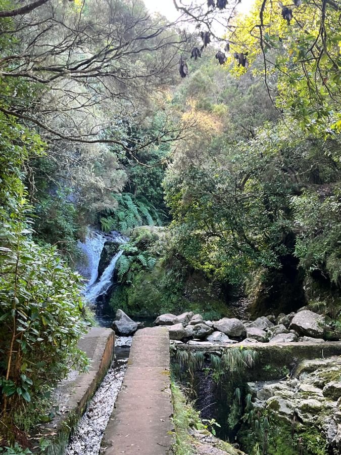 Levada Balcoes- The best hikes in Madeira.