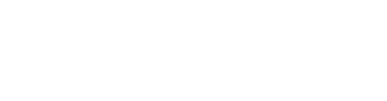 Freestyle Traveling logo