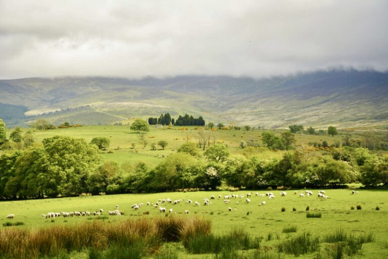 Wicklow Mountains - the greatest places outside of Dublin