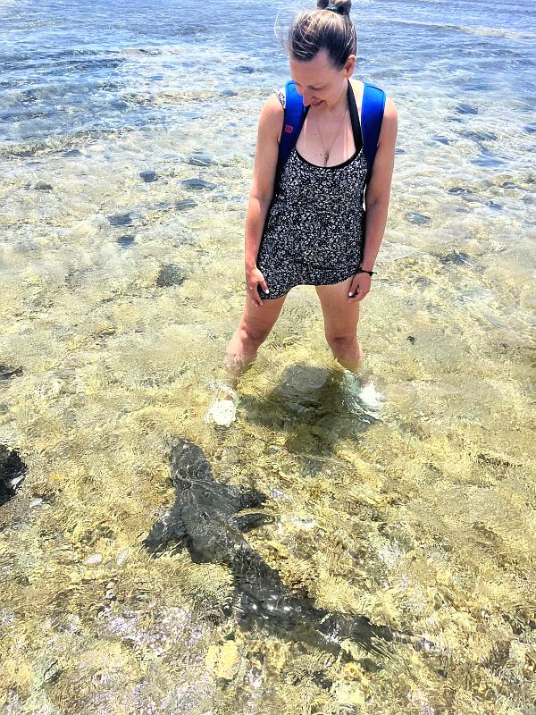 Things to do on Sal - Shark Bay