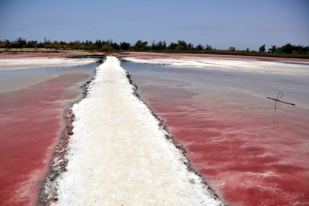 Lac Rose Senegal