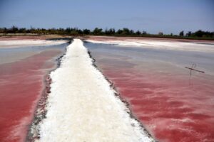 Lac Rose Senegal
